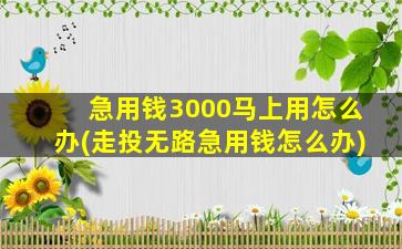 急用钱3000马上用怎么办(走投无路急用钱怎么办)