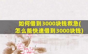 如何借到3000块钱救急(怎么能快速借到3000块钱)