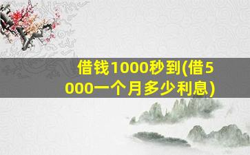 借钱1000秒到(借5000一个月多少利息)