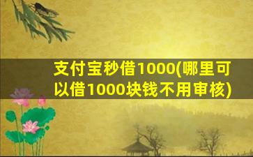 支付宝秒借1000(哪里可以借1000块钱不用审核)