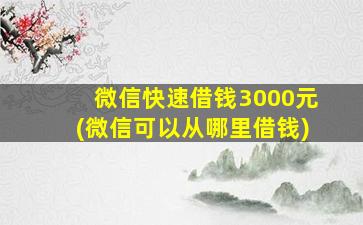 微信快速借钱3000元(微信可以从哪里借钱)