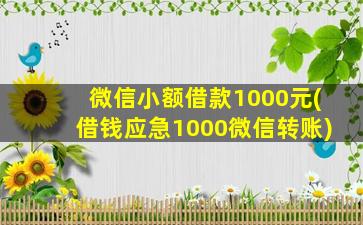 微信小额借款1000元(借钱应急1000微信转账)