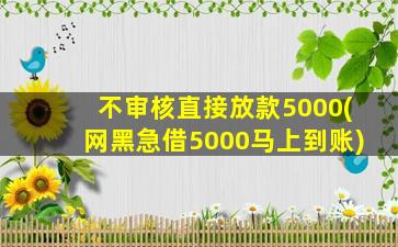 不审核直接放款5000(网黑急借5000马上到账)