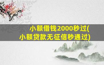 小额借钱2000秒过(小额贷款无征信秒通过)