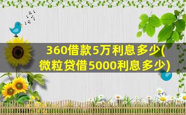 360借款5万利息多少(微粒贷借5000利息多少)