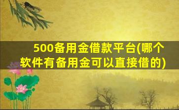 500备用金借款平台(哪个软件有备用金可以直接借的)