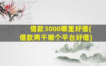 借款3000哪里好借(借款两千哪个平台好借)