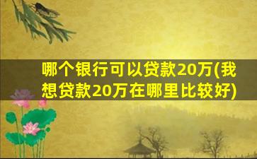 哪个银行可以贷款20万(我想贷款20万在哪里比较好)