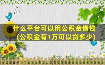 什么平台可以用公积金借钱(公积金有1万可以贷多少)