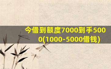 今借到额度7000到手5000(1000-5000借钱)