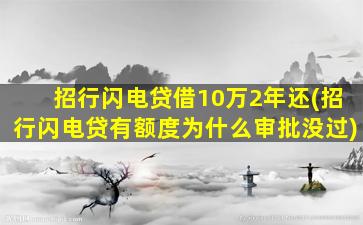 招行闪电贷借10万2年还(招行闪电贷有额度为什么审批没过)