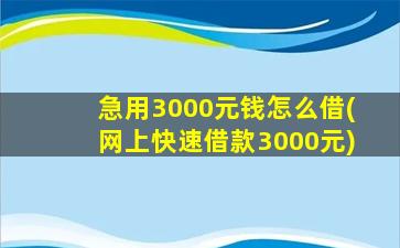 急用3000元钱怎么借(网上快速借款3000元)