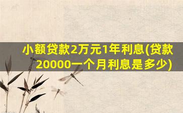 小额贷款2万元1年利息(贷款20000一个月利息是多少)