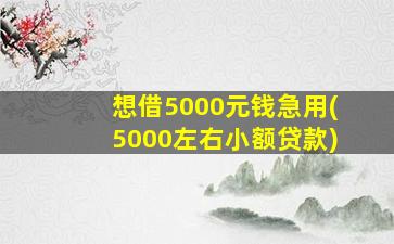 想借5000元钱急用(5000左右小额贷款)