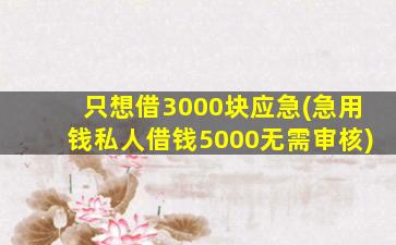 只想借3000块应急(急用钱私人借钱5000无需审核)