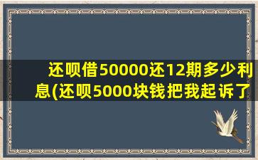 还呗借50000还12期多少利息(还呗5000块钱把我起诉了)