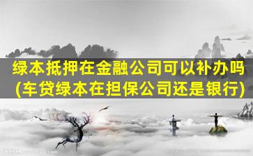 绿本抵押在金融公司可以补办吗(车贷绿本在担保公司还是银行)