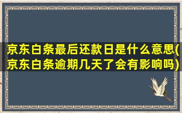 京东白条最后还款日是什么意思(京东白条逾期几天了会有影响吗)