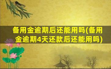 备用金逾期后还能用吗(备用金逾期4天还款后还能用吗)