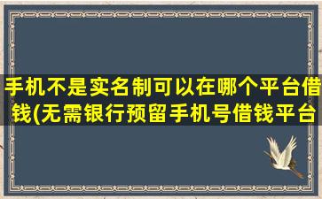 手机不是实名制可以在哪个平台借钱(无需银行预留手机号借钱平台)