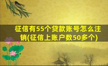 征信有55个贷款账号怎么注销(征信上账户数50多个)