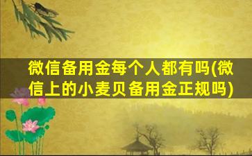 微信备用金每个人都有吗(微信上的小麦贝备用金正规吗)