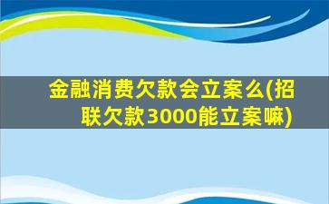 金融消费欠款会立案么(招联欠款3000能立案嘛)