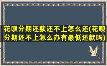 花呗分期还款还不上怎么还(花呗分期还不上怎么办有最低还款吗)