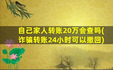 自己家人转账20万会查吗(诈骗转账24小时可以撤回)