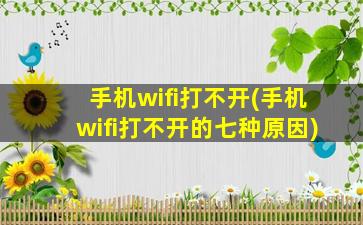 手机wifi打不开(手机wifi打不开的七种原因)