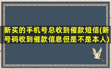 新买的手机号总收到催款短信(新号码收到催款信息但是不是本人)