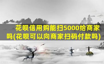 花呗信用购能扫5000给商家吗(花呗可以向商家扫码付款吗)