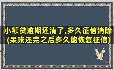 小额贷逾期还清了,多久征信消除(呆账还完之后多久能恢复征信)