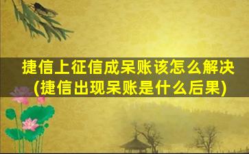 捷信上征信成呆账该怎么解决(捷信出现呆账是什么后果)