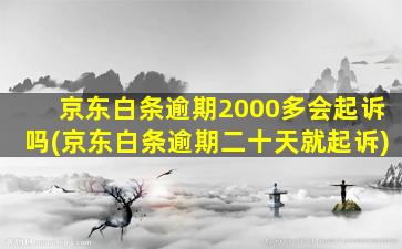 京东白条逾期2000多会起诉吗(京东白条逾期二十天就起诉)