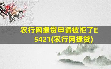 农行网捷贷申请被拒了ES421(农行网捷贷)