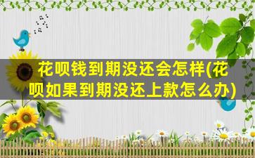 花呗钱到期没还会怎样(花呗如果到期没还上款怎么办)