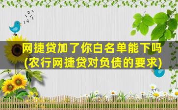 网捷贷加了你白名单能下吗(农行网捷贷对负债的要求)