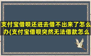 支付宝借呗还进去借不出来了怎么办(支付宝借呗突然无法借款怎么回事)