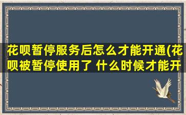 花呗暂停服务后怎么才能开通(花呗被暂停使用了 什么时候才能开)