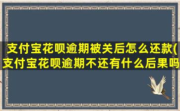 支付宝花呗逾期被关后怎么还款(支付宝花呗逾期不还有什么后果吗)