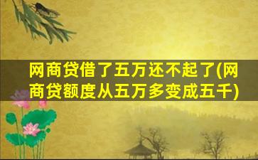 网商贷借了五万还不起了(网商贷额度从五万多变成五千)