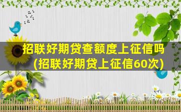 招联好期贷查额度上征信吗(招联好期贷上征信60次)