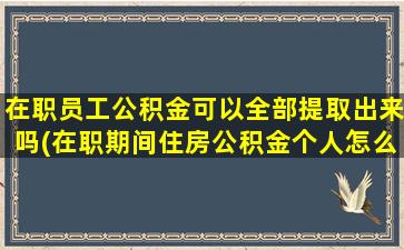 在职员工公积金可以全部提取出来吗(在职期间住房公积金个人怎么提取)