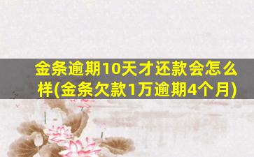 金条逾期10天才还款会怎么样(金条欠款1万逾期4个月)