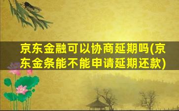 京东金融可以协商延期吗(京东金条能不能申请延期还款)