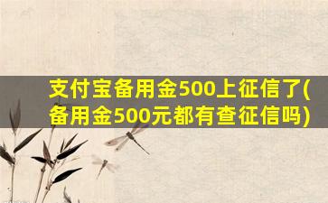 支付宝备用金500上征信了(备用金500元都有查征信吗)