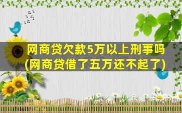 网商贷欠款5万以上刑事吗(网商贷借了五万还不起了)