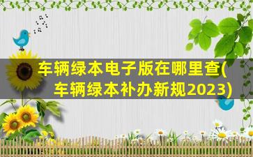 车辆绿本电子版在哪里查(车辆绿本补办新规2023)