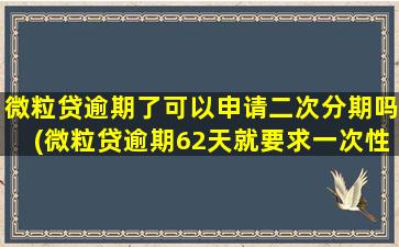 微粒贷逾期了可以申请二次分期吗(微粒贷逾期62天就要求一次性还款)